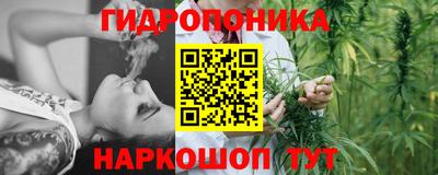 крисы Лесосибирск