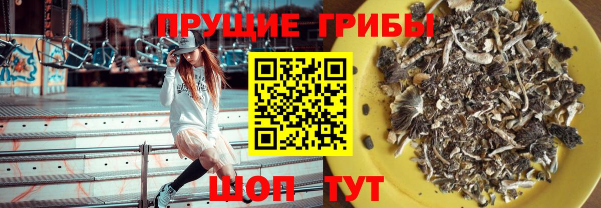 Галлюциногенные грибы ЛСД  Вход с VPN  Псилоцибиновые грибы GOLDEN TEACHER  Владивосток 