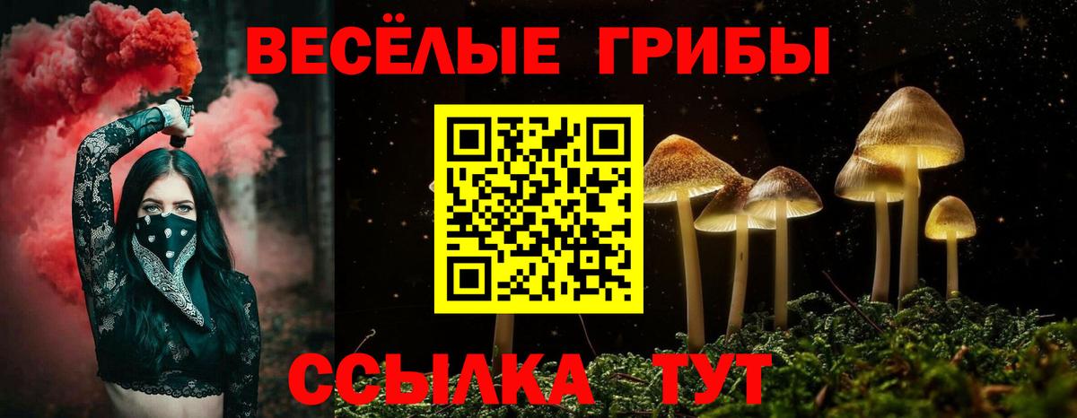 Псилоцибиновые грибы MAGIC MUSHROOMS Владивосток